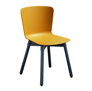 MIDJ - Plastová židle CALLA s dřevěnou podnoží