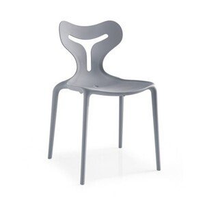 CONNUBIA (CALLIGARIS) - Designová židle AREA51