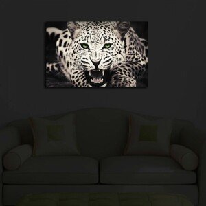 Hanah Home Obraz s led osvětlením Bílý levhart 70x45 cm