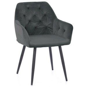 HOMEDE Designová židle Argento šedá, velikost 61x44x85