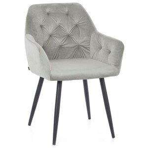 HOMEDE Designová židle Argento stříbrná, velikost 61x44x86