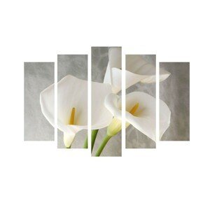 Wallity Vícedílný obraz Flowero 105x70 cm šedá/bílá