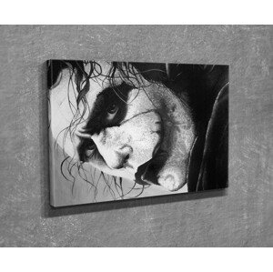 Wallity Obraz JOKER 30x40 cm šedý