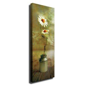 Wallity Obraz na plátně Daisy dream PC164 30x80 cm