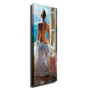 Wallity Obraz na plátně Naked sea PC202 30x80 cm