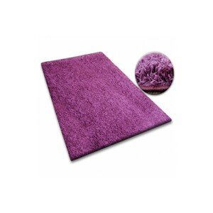 Dywany Lusczow Kusový koberec SHAGGY Izebelie 5cm fialový, velikost 200x200