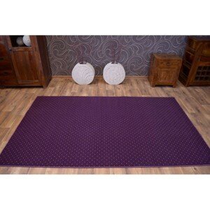 Dywany Lusczow Kusový koberec AKTUA Mateio fialový, velikost 100x150