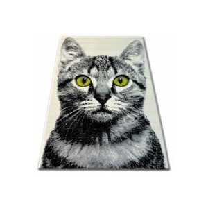 Dywany Lusczow Kusový koberec BCF FLASH 33319/160 - kočka, velikost 160x225