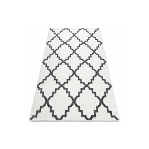 3kraft Kusový koberec SKETCH CAMERON bílý /šedý trellis, velikost 200x290