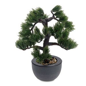 DekorStyle Jehličnatá Bonsai