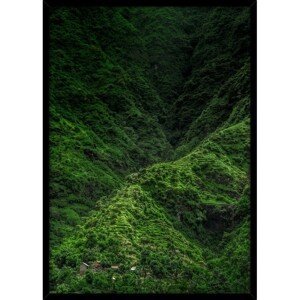 Hector Obraz Jungle 50x70 cm zelený