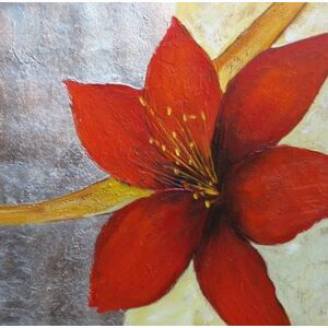 Obrazy - Červený květ