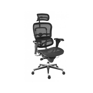 Kancelářská židle Ergohuman 