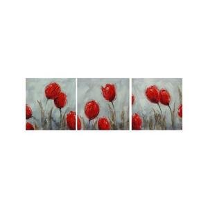 Obrazový set - Záhon červených květů