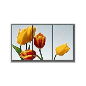 Obrazový set - Tulipány