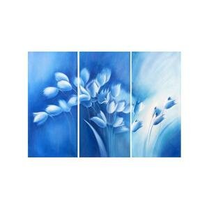 Obrazový set - Květy v modrém
