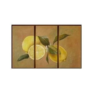 Vícedílné obrazy - Citrony