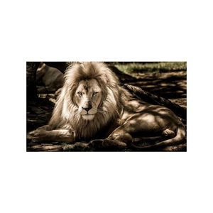 Tištěný obraz - Král zvířat