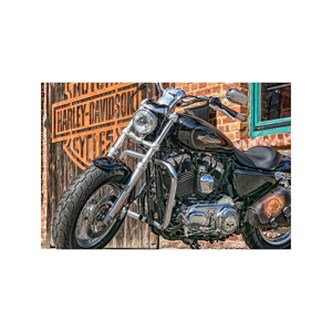 Tištěný obraz - Harley Davidson I.