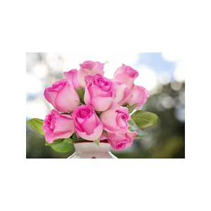 Tištěný obraz - Kytice Růží