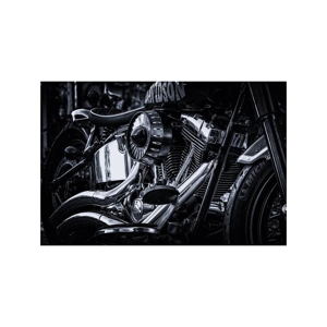 Tištěný obraz - Harley Davidson IV.