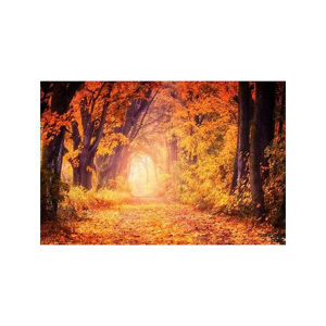 Tištěný obraz - Podzimní slunce