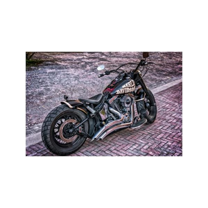 Tištěný obraz - Harley Davidson II.