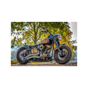 Tištěný obraz - Harley Davidson III.