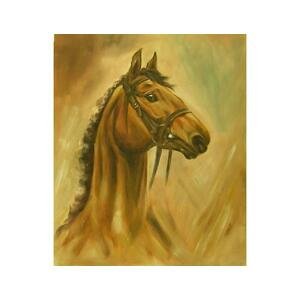 Obraz - Hnědý kůň