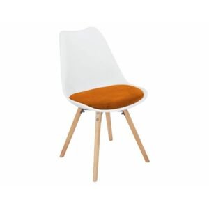 Jídelní židle Leitch, bílá / terakotová