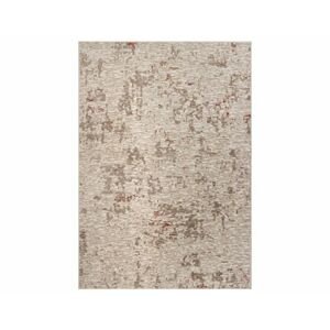 Kusový koberec Anny 33003-017, 195 x 300 cm