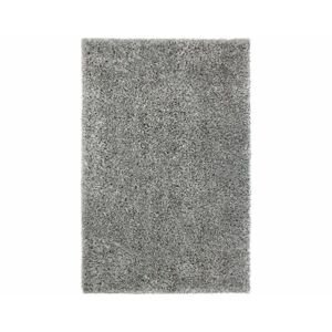 Kusový koberec Shaggy Deluxe 8000-90, 120x170 cm