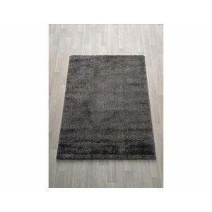 Kusový koberec Shaggy Deluxe 8000-196, 120x170 cm