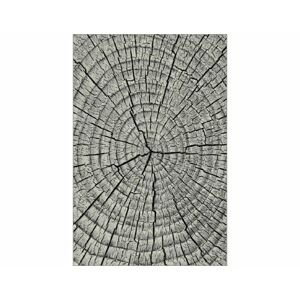 Kusový koberec Kolibri 11261-190, šedá, 200x300 cm
