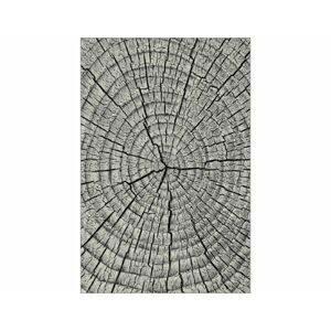 Kusový koberec Kolibri 11261-190, šedá, 160x230 cm