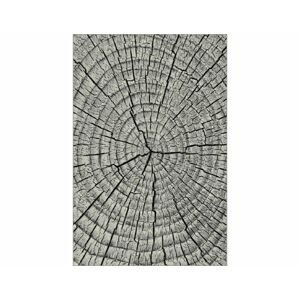 Kusový koberec Kolibri 11261-190, šedá, 120x170 cm