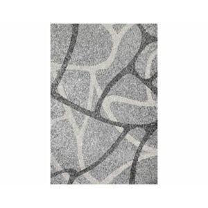Kusový šedý koberec Fantasy 12558-116 Rozměry: 80x150