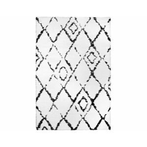 Kusový bílý koberec Fantasy 12571-16 Rozměry: 80x150