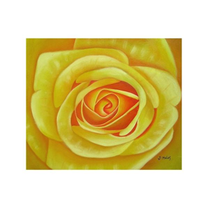 Obraz - Žlutá růže