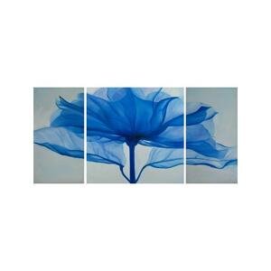 Obrazový set - Modrý květ