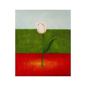 Obraz - Italský tulipán
