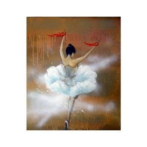 Obraz - Divá baletka