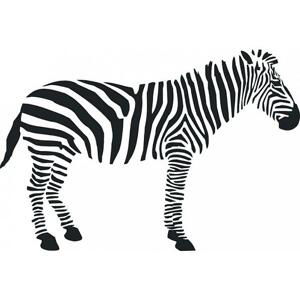 Samolepící dekorace Zebra