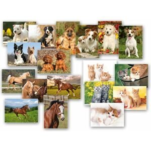 pohlednice zvířata MIX - MFP Paper s.r.o.