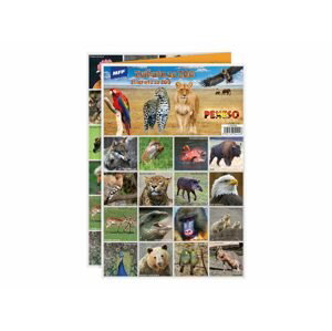 pexeso 3xA4 Zvířata ze ZOO 5300896 - MFP Paper s.r.o.