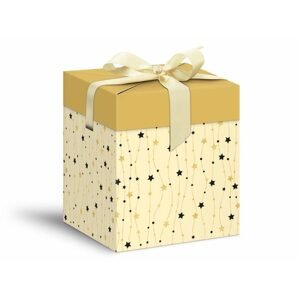 krabička dárková vánoční 12x12x15cm 5370572 - MFP Paper s.r.o.