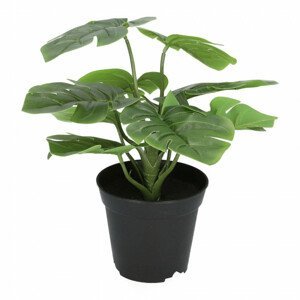 Umělá rostlina MONSTERA zelená 29 cm