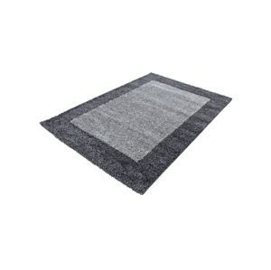 Shaggy koberec v šedých tónech se vzorem bordury, 60x110