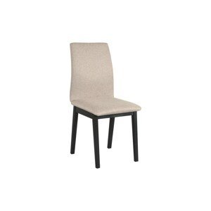 Židle Luna 1 Potahová látka - židle: Tkanina 35B, Barva podstavy: Černá