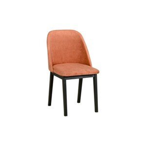 Židle Monti 1 Potahová látka - židle: Tkanina 37B, Barva podstavy: Černá